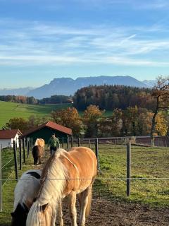 Höglerhof - Hüttenzauber - 6