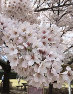 Nishi-Shinjuku Residence - 2F House - Quiet Area Walkable to Shinjuku Station - Ciel西新宿 - 8