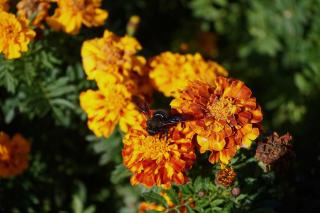 Casas Rurales LA HUERTA DEL CURATO I - 1