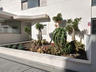 Luxury Green Hills - 8