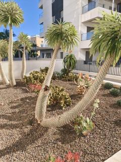 Luxury Green Hills - 7