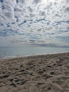 Bel Appartement 4-6 couchages, en bord de mer, accès direct à la plage - 7