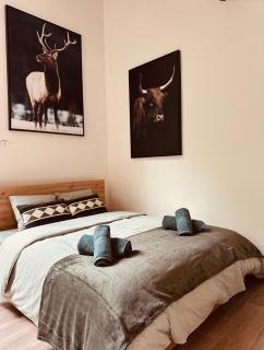 TINY HOUSE - La cabane de Tom - Blaimont - 8