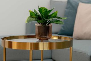 Przytulny Apartament Blisko Parku Reagana w Gdańsku by Noclegi Renters - 4