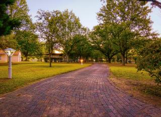 Riverside Rhapsody, Vaal River, Vanderbijlpark, 6 Adults and 4 Children - Vanderbijlpark - 7