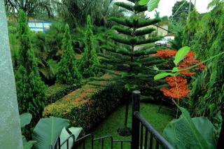 Roadway Patio Accommodations - 6