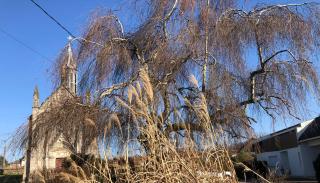 Logement f2 Bains les bains La Chapelle - 1