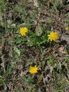 Commander's Home - 7