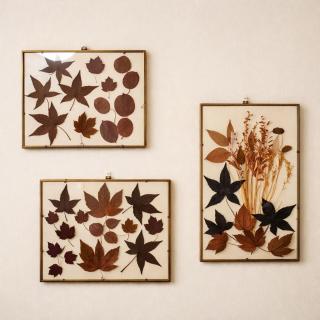 Casa Lilla - House with garden near Venice - 1