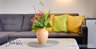 1C 44 Seestern EG - 5