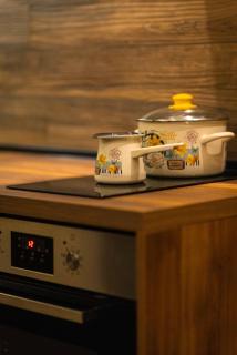 Apartman ALPINA Bogatic - 8