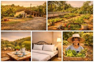 Latte home Krabiลาเต้โฮมกระบี่ - 0