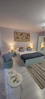 Zorilor Cactus Apartment - 3