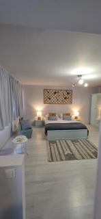 Zorilor Cactus Apartment - 2