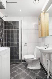 Studio apartment in Vika Area - 3