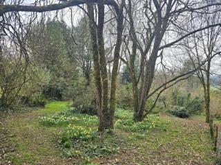 Lurley Woodland Stays - 9