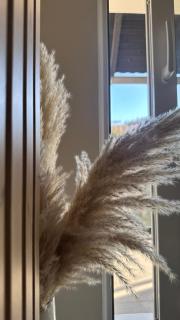 Signature Suites - Flower Flair - 1