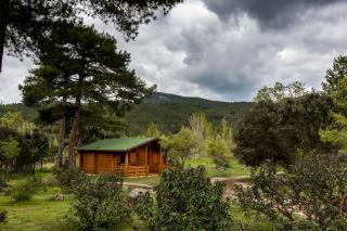 El Llano de los Conejos Serranía de Cuenca - Cañamares - 0