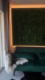 Signature Suites - Forest Flat - 2