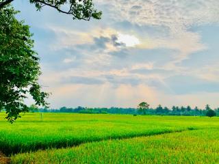 White Shine Hotel - 7