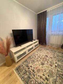 Otipea apartment - 6