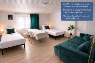 Bright and Spacious Apartment in Wiesbaden City Center - 2