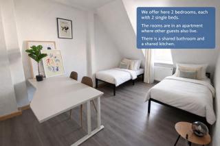 Bright and Spacious Apartment in Wiesbaden City Center - 1