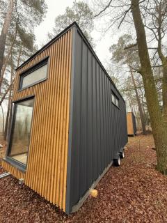 Pomiedzy debami - domki - 8