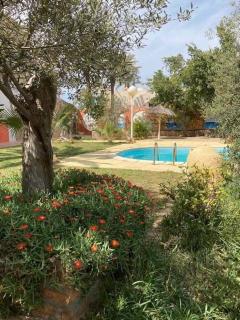 Dar El Khomssa Rais - 2