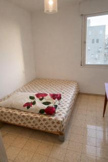 Obtsinsky Golden Sand - 7