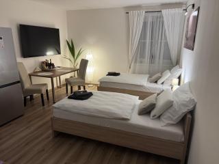 ApartHotel Svitavy - 4