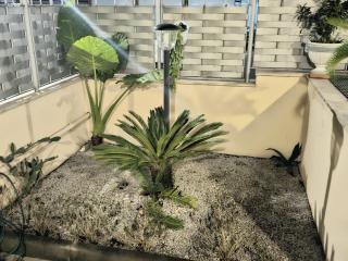 Casa vacanze fantasia - 2