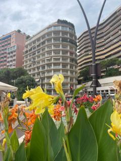 Monaco Monte-Carlo Formula One - 6