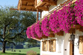 Wimmerhof - Chiemgau Karte - 8