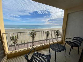 Appartement T2 en front de mer à Canet-en-Roussillon - FR-1-732-57 - 1