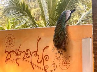 GreenKey Hotel & Resturent - 9