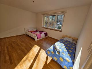 Large Flats, Zurich City Center - SCH - 6