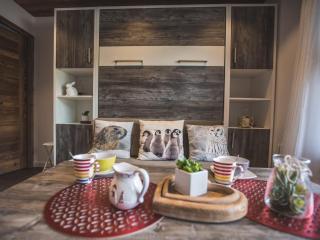 Charmant studio rénové au centre, près des pistes - FR-1-598-81 - 2