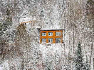 Forest Chalet with Private Sauna - 5