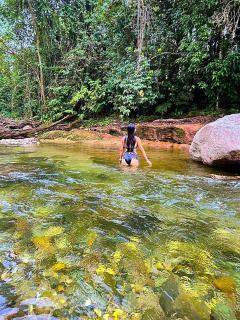 Ingaru Lodge & Reserve - 2