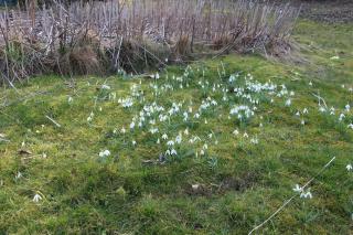 Auszeit in Neulengbach Perle des Wienerwaldes - 4