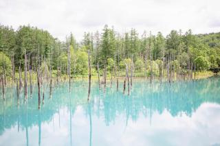 BIEI BREEZE RESERVE - Vacation STAY 50871v - 6