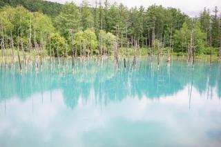 BIEI BREEZE RESERVE - Vacation STAY 50871v - 7