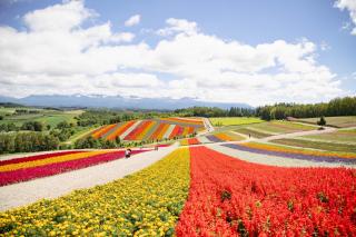 BIEI BREEZE RESERVE - Vacation STAY 50871v - 5