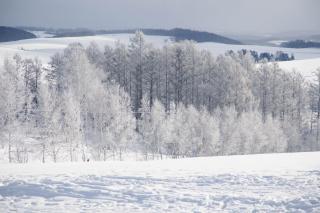 BIEI BREEZE RESERVE - Vacation STAY 50871v - 3