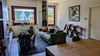 A window on the lake - 8