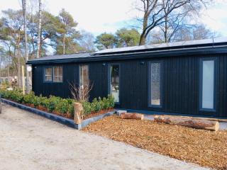 Luxe wellness cabin Japandi stijl met bosuitzicht en hottub Boshuisje Nero - 8