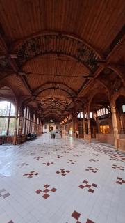 IzerSkiBike Ap 38 - 9