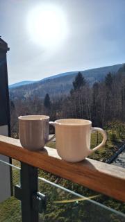 IzerSkiBike Ap 38 - 1