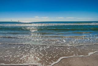 Condo 104 - Standard Plus - 6